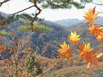 河北滄州發(fā)生3.4級地震，北京、天津均有強烈震感